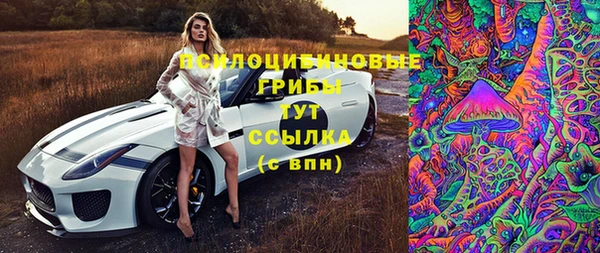 дмт Нефтегорск