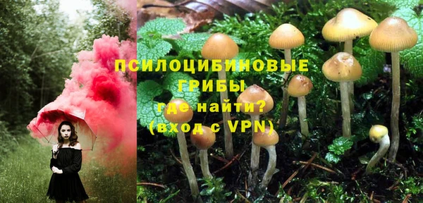 ECSTASY Рославль