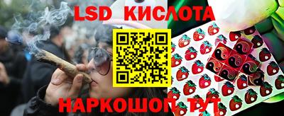 СК Апшеронск