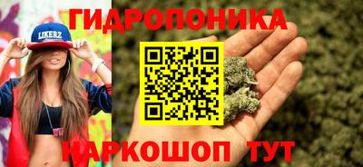 стафф Волжск