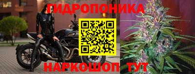 2c-b Абакан