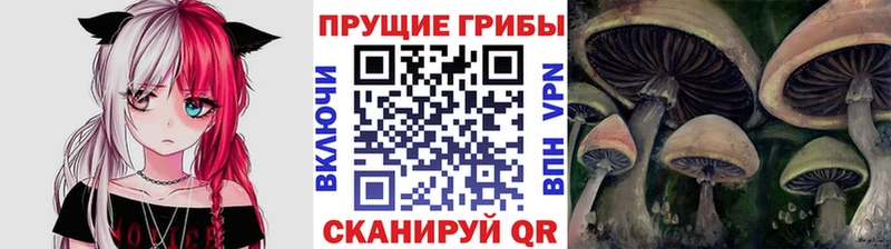 ссылка на мегу как войти  Лангепас  Галлюциногенные грибы мухоморы 