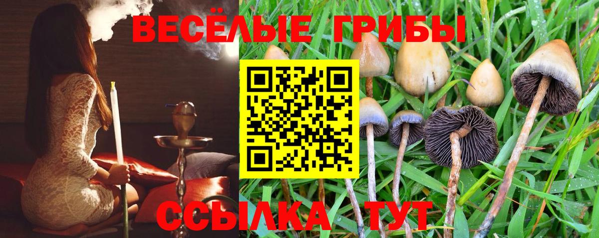 Псилоцибиновые грибы ЛСД  наркошоп  Псилоцибиновые грибы Cubensis  Лангепас  Вход с VPN 
